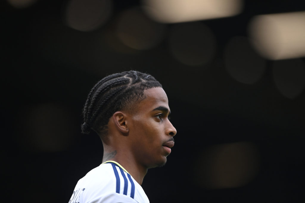 Leeds United v Fulham FC - Premier League