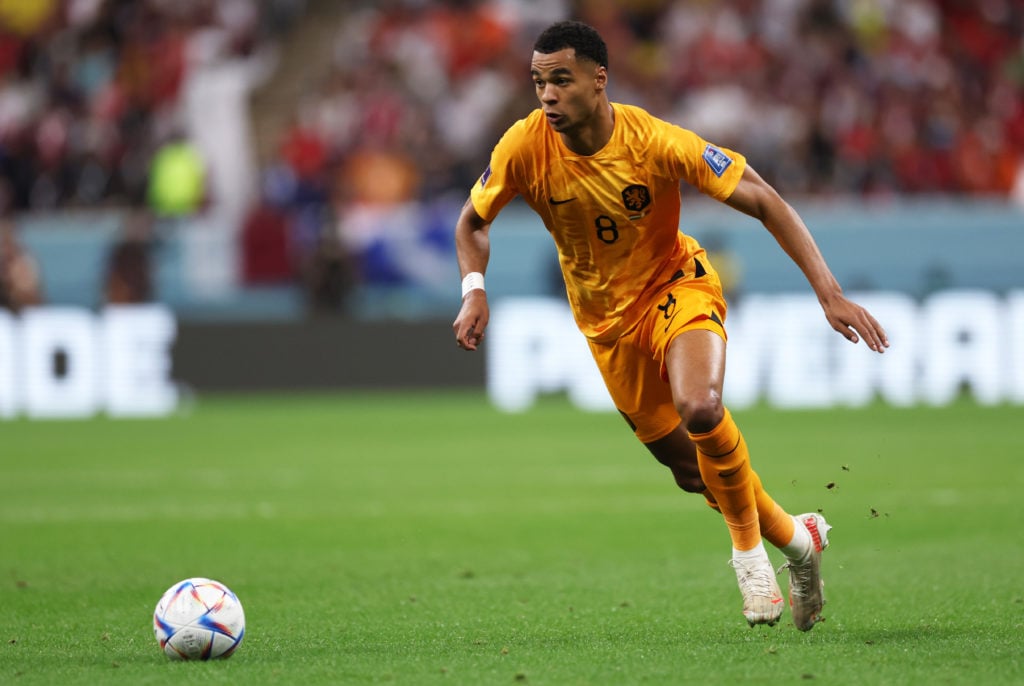 Cody Gakpo in action for The Netherlands at the 2022 World Cup.