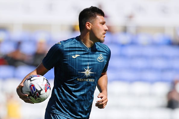 Reading v Swansea City - Pre Season Friendly