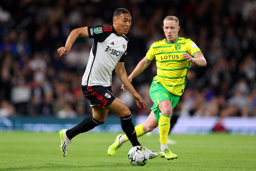 Fulham v Norwich City - Carabao Cup Third Round