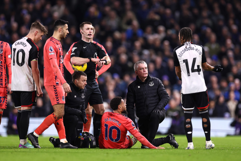 Fulham FC v Everton FC - Premier League