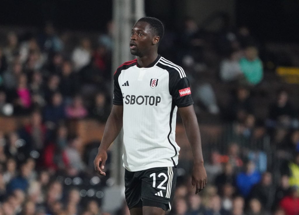 Fulham v Norwich City - Carabao Cup Third Round
