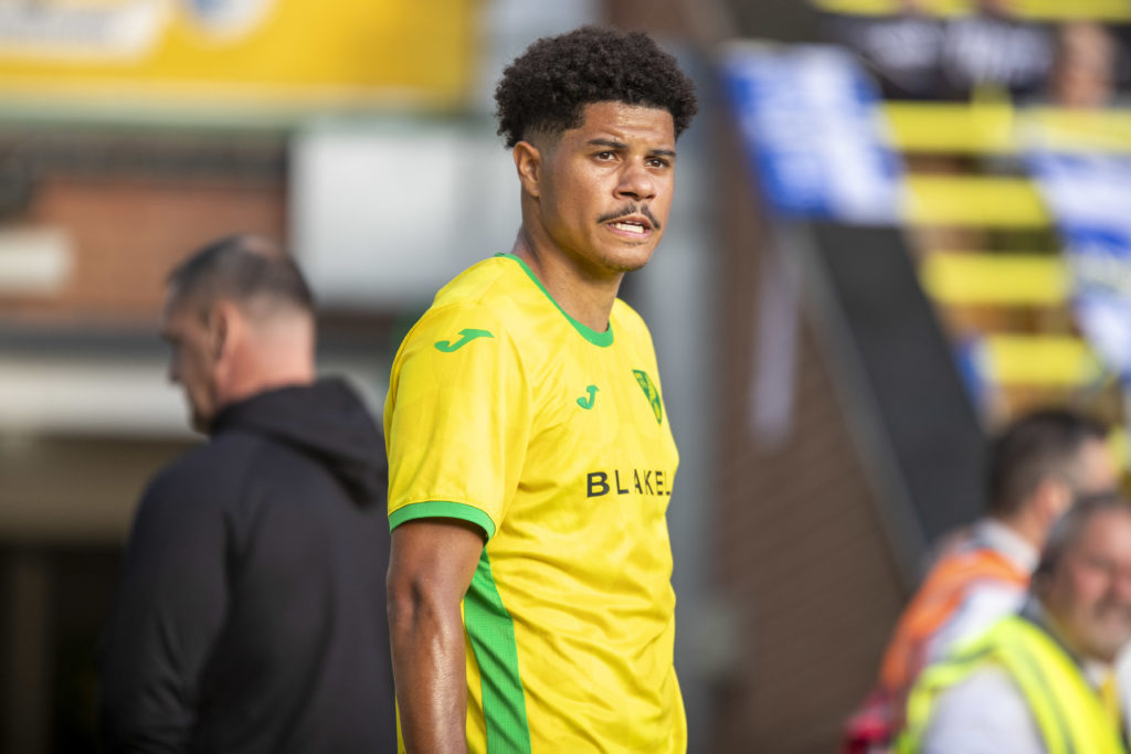 Gabriel Sara during his time at Norwich City.