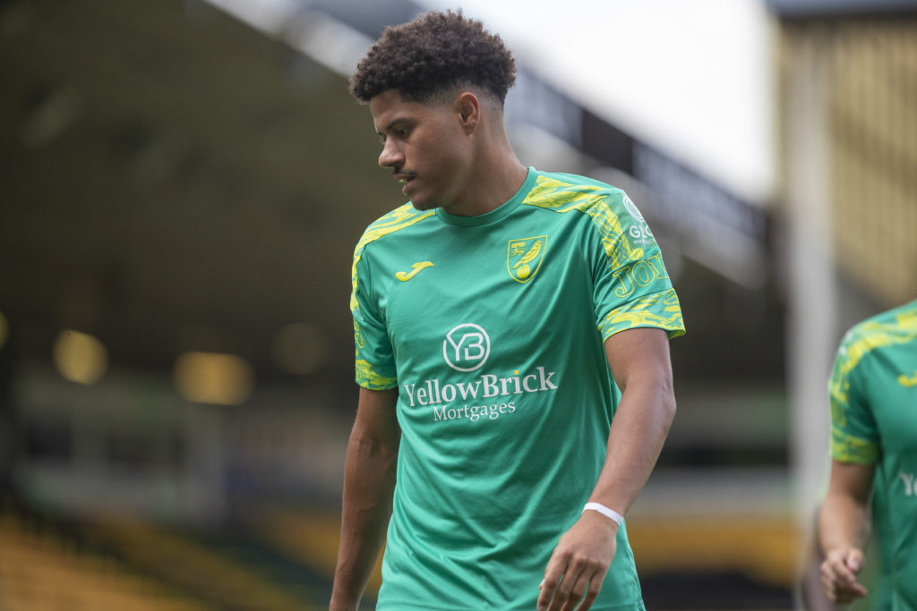 Norwich City v FC Magdeburg - Pre-season Friendly