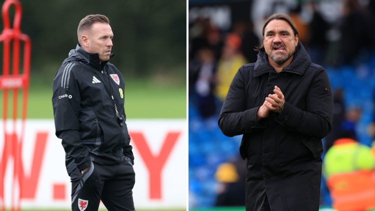 Split image of Daniel Farke and Craig Bellamy.