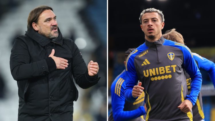 Ethan Ampadu and Daniel Farke.
