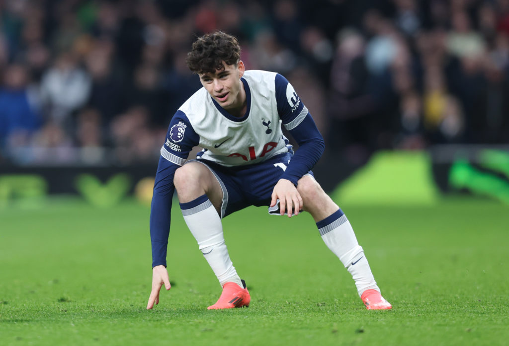 Tottenham Hotspur FC v Fulham FC - Premier League