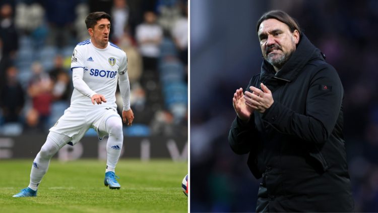 Pablo Hernandez and Daniel Farke