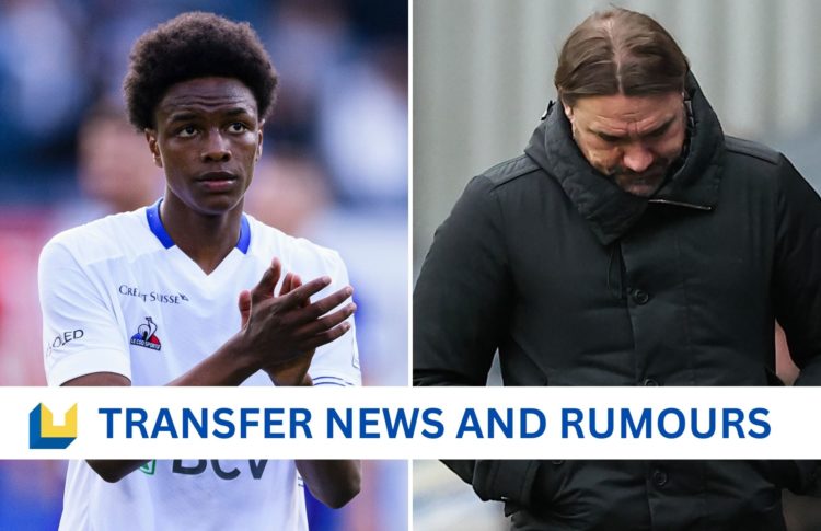 Collage of Alvyn Sanches and Daniel Farke.