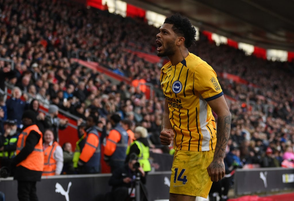Southampton FC v Brighton & Hove Albion FC - Premier League