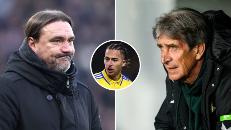 Split image of Daniel Farke and Manuel Pellegrini. Inset, Mateo Joseph of Leeds.