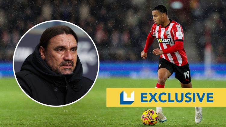 Cameron Archer of Southampton during the Premier League match. Inset, Daniel Farke.
