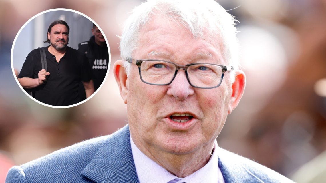Main image, Sir Alex Ferguson watches the racing as he attends day 1 'Champion Day' of the Cheltenham Festival at Cheltenham Racecourse on March 11...