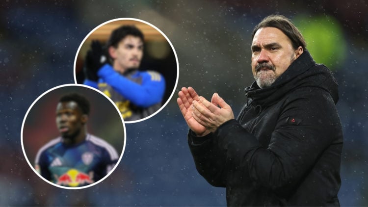 An image featuring Daniel Farke, with two inset circular images that are blurred out, representing Pascal Struijk and Wilfried Gnonto.
