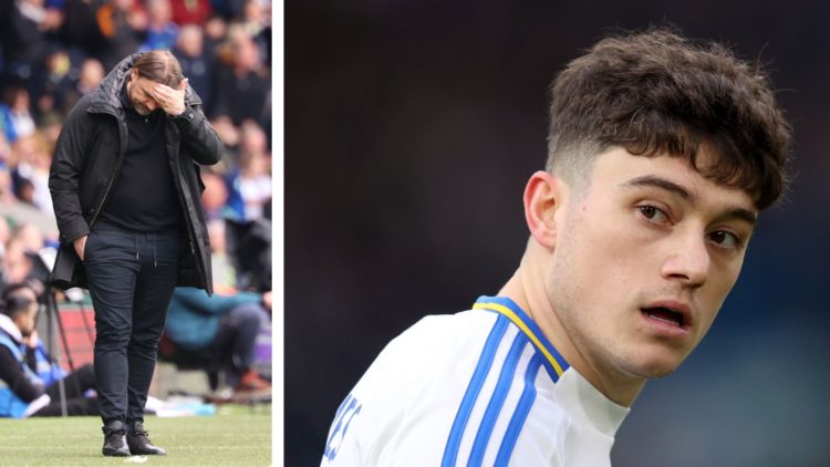 Split image of Daniel Farke, the Leeds United manager, and Daniel James of Leeds United.
