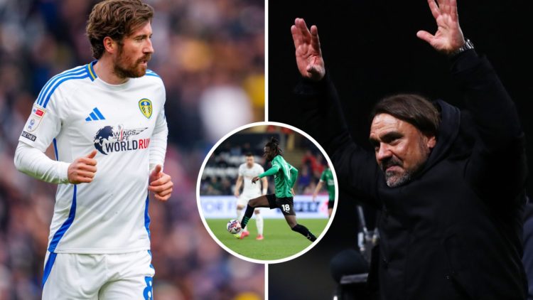 Split image showing Leeds United midfielder Joe Rothwell, manager Daniel Farke and Plymouth loanee Darko Gyabi