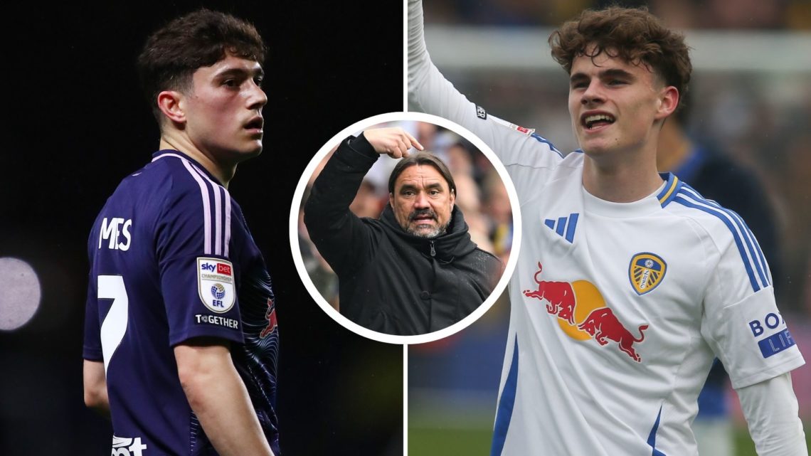 Split image: Leeds United's Dan James in action (L). Harry Gray celebrating (R). Inset: Daniel Farke pointing.