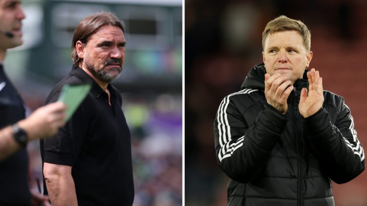 Daniel Farke looks on during a Leeds game and Eddie Howe after a Newcastle match.