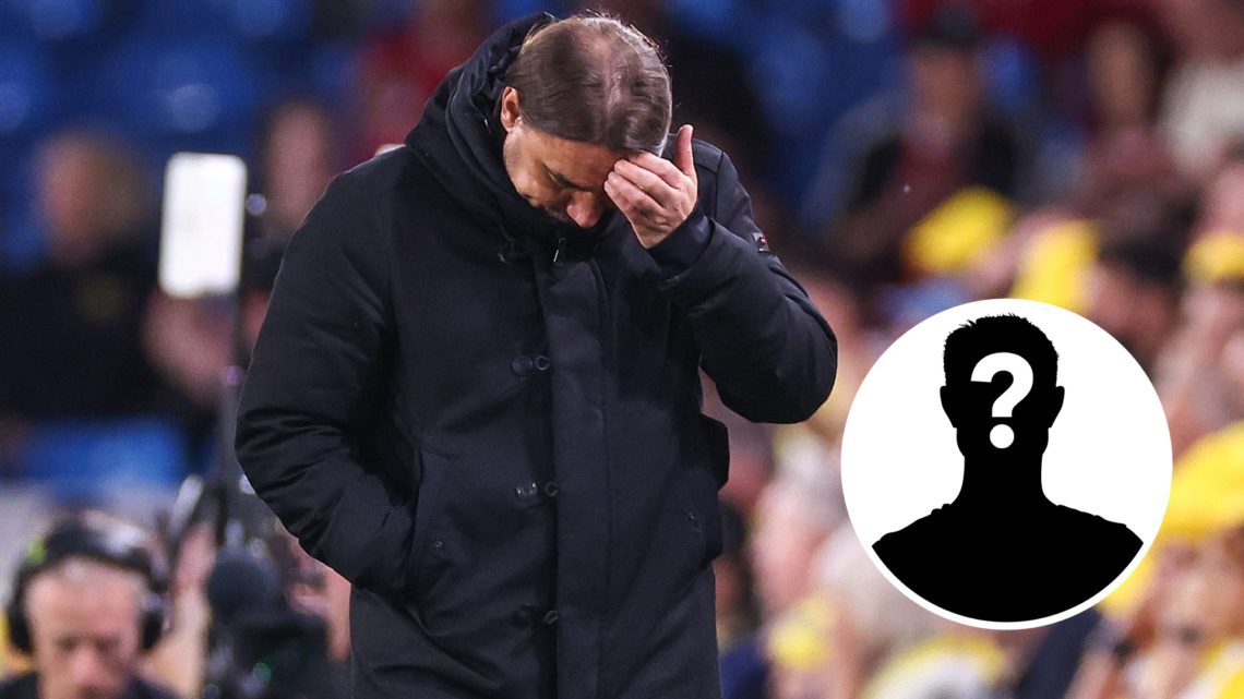 Daniel Farke ponders his next move during a Leeds United match.
