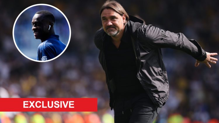 Daniel Farke after Leeds United beat Preston North End. Inset. Habib Diarra before Strasbourg vs PSG.
