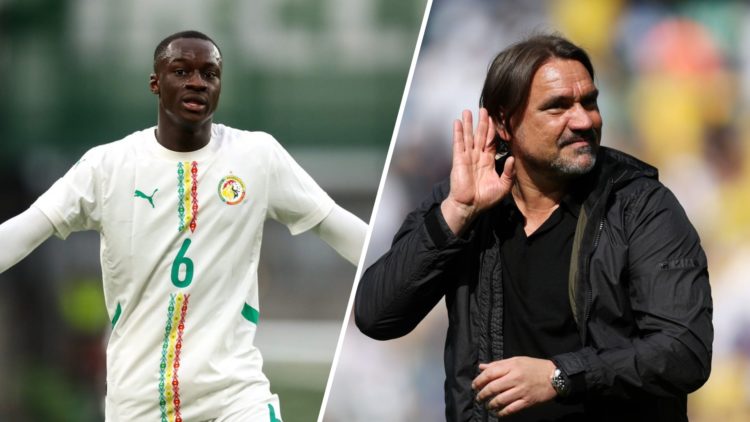 Senegal midfielder Habib Diarra (left) and Daniel Farke (right)