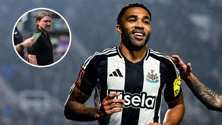 Newcastle United striker Callum Wilson celebrating. Inset, Leeds United manager Daniel Farke looking on.