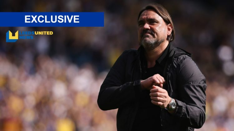 Daniel Farke celebrates with the Leeds United fans.