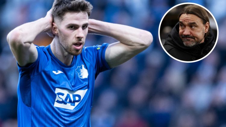 Hoffenheim star Anton Stach with his hands on his head. Inset, Leeds United manager Daniel Farke looks on.