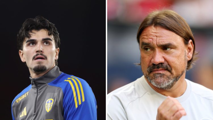 Daniel Farke and Pascal Struijk in action for Leeds.