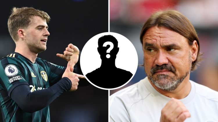 Daniel Farke and Patrick Bamford on Leeds United duty.
