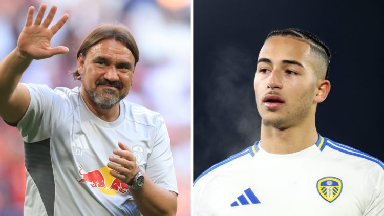 Daniel Farke waves to Leeds fans and Mateo Joseph in action during 2024-25.