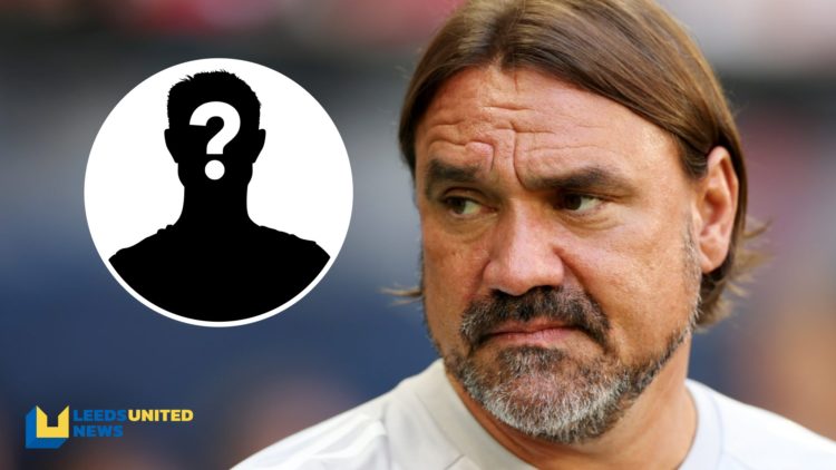Leeds United manager Daniel Farke during a pre-season friendly vs SC Verl.