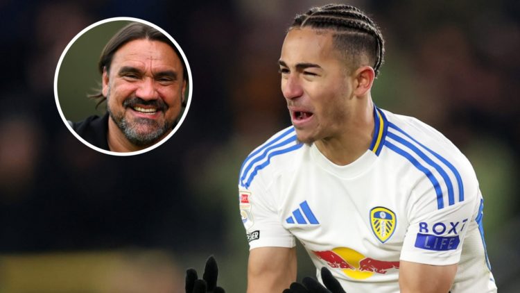 Leeds United manager Daniel Farke smiling. Inset, Mateo Joseph complains whilst playing for Leeds.