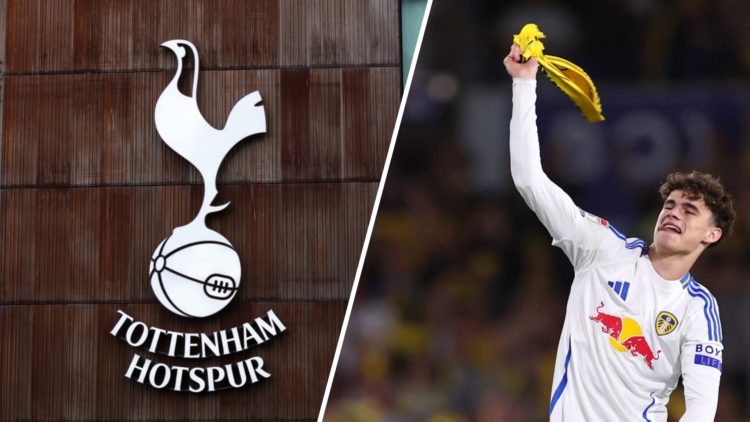 The Tottenham Hotspur badge and Leeds star Harry Gray celebrating promotion.