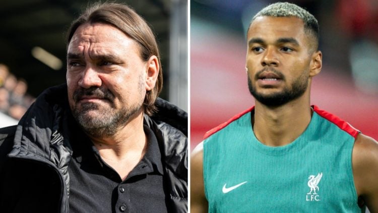 Daniel Farke Leeds United manager. Cody Gakpo playing for Liverpool.