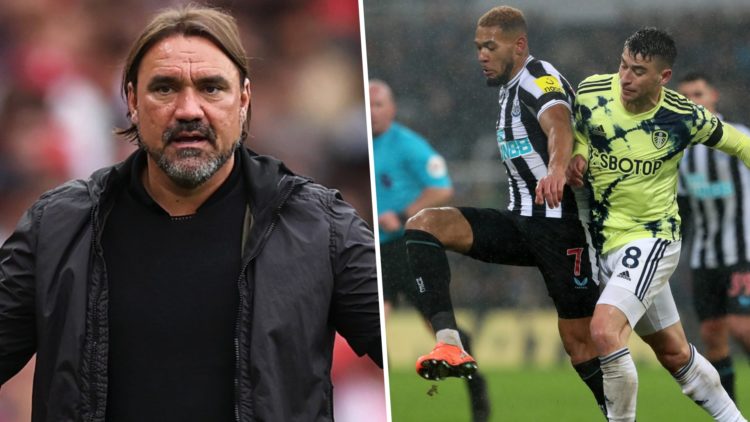 Daniel Farke during Leeds United vs Arsenal, Leeds United vs Newcastle.