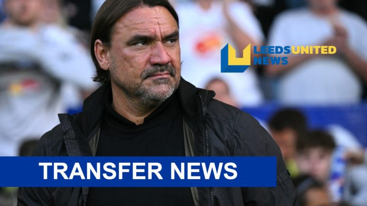 Leeds United manager Daniel Farke stands on the sidelines.