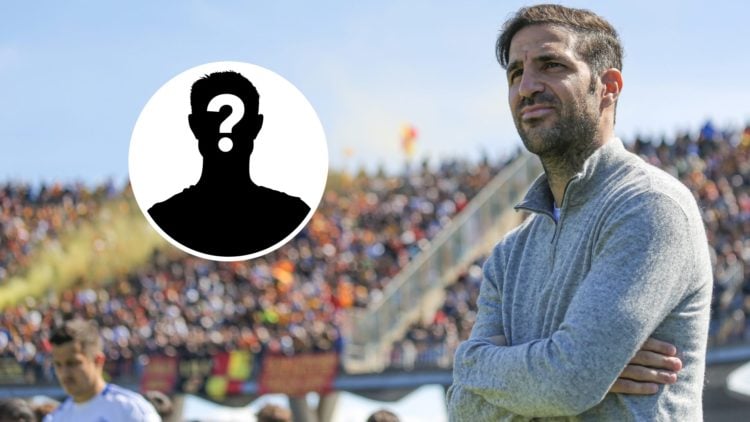 Cesc Fabregas during a game as Como manager.