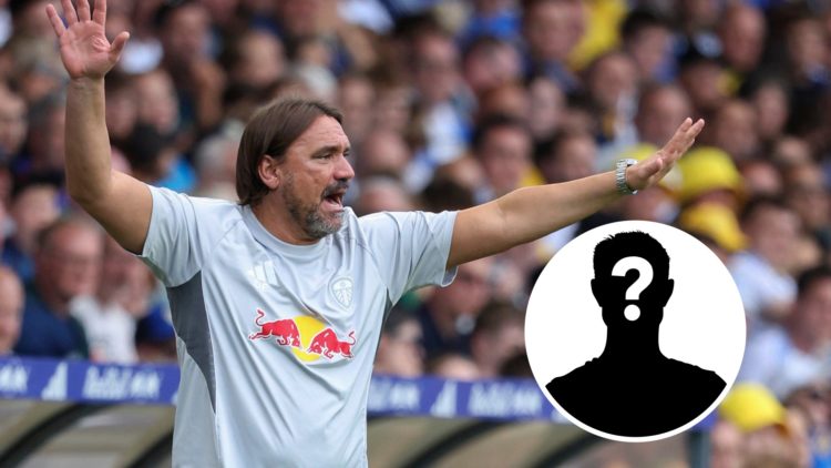 Leeds United manager Daniel Farke with the mystery player overlay