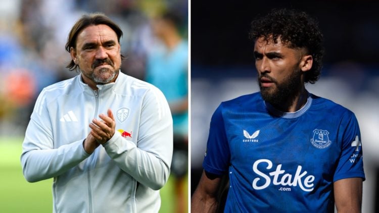 Daniel Farke during a Leeds match and Dominic Calvert-Lewin in action for Everton.