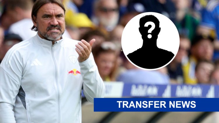 Daniel Farke looks on during Leeds United's pre-season.