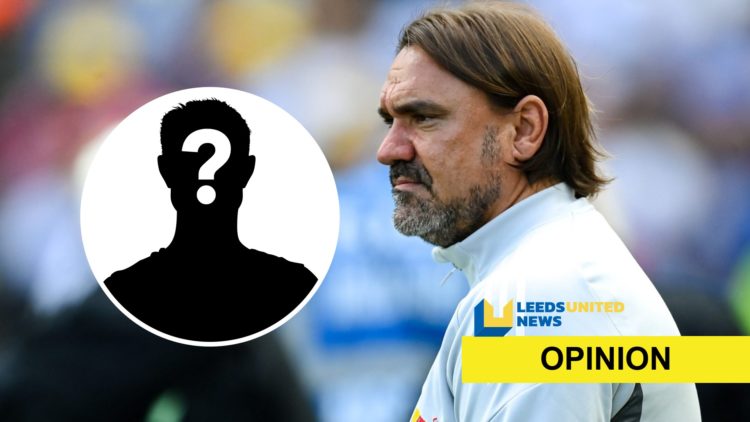 Leeds United manager Daniel Farke with the mystery player overlay and the opinion banner and logo