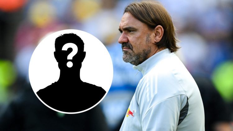 Leeds United manager Daniel Farke with the mystery player overlay