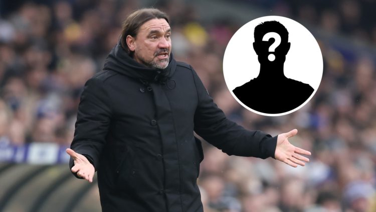 Leeds United manager Daniel Farke with the mystery player overlay