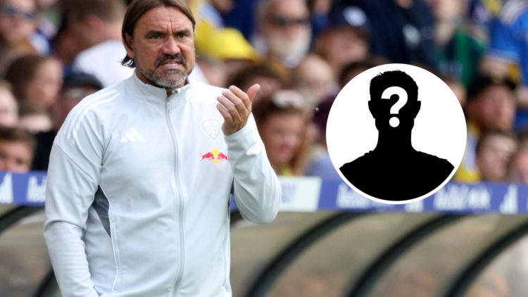 Daniel Farke during Leeds' 1-1 draw against Milan.