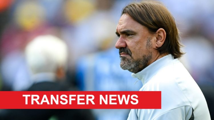 Leeds United manager Daniel Farke during a pre-season friendly.