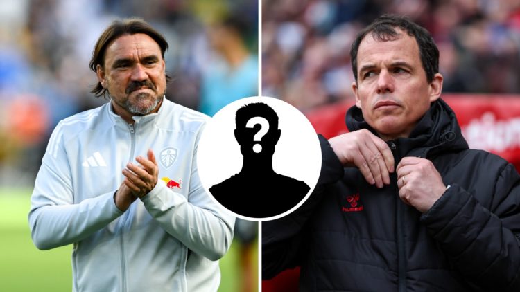 Daniel Farke and Regis Le Bris during Leeds and Sunderland action.