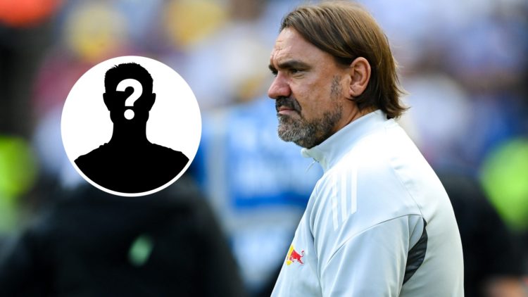 Daniel Farke looks on during Leeds' match against Milan.