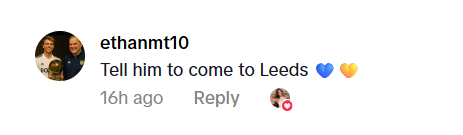 Screenshot of Manor Solomon's wife liking Leeds fans comment.
