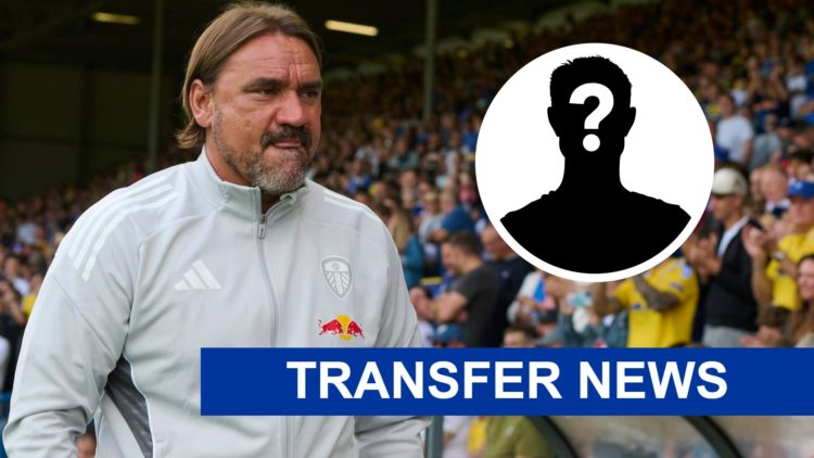 Leeds United manager Daniel Farke walks down the touchline during a game.